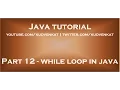 while loop in java