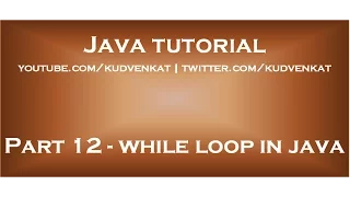 while loop in java