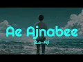 Ae Ajnabee Lo-Fi slowed & reverb mid Night song