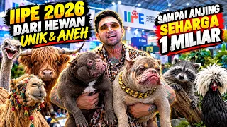 PAMERAN TERBESAR SE-ASIA TENGGARA ISINYA HEWAN-HEWAN ANEH SAMPAI ANJING SEHARGA 1 MILIAR !!!