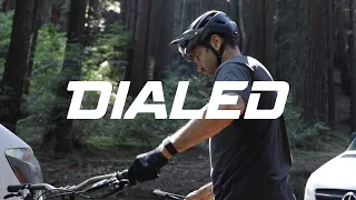 DIALED S2-EP29: Race Tune vs. OE Tune | Day in the Life with Jordi Cortes | FOX