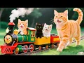 Download Lagu Mama Cat Works Hard to Build a Train for Her Kitten, Making the Little One’s Dream Come True 🚂🐱💖