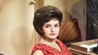 پوران ای بلم آهسته تر 