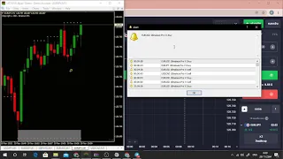 binalouis pro v1 indicator buyer experience and she success