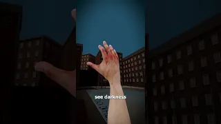 What Would You See With No Eyes 