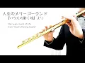 Merry-go-round of Life from Howl s Moving Castle for flute and piano