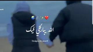 حالات واتس أب تامر حسني الله يباركلي فيك  حالات واتساب           دندنها