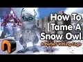 ARK Extinction How to Tame A SNOW OWL - BEST CAGE Kibble