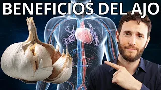 todo sobre el ajo y sus propiedades