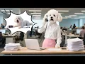 Download Lagu Baby Puppy Battles Fever While Alone 🤒 Mom Dog at Work but Heart Full of Worry 🐶💔