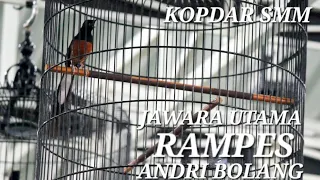 Download RAMPES - ANDRI BOLANG KOPDAR SMM | HALAL BI HALAL #SMM #muraibatu #gagaksakti MP3