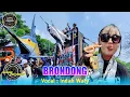 Download Lagu SEA PARTY‼️ BRONDONG VOC. INDAH WATY FT PUTRA PA'I MUDA X GANG PANAS WARUDUWUR CIREBON 