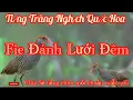 Lagu Tiếng Quốc Hoa,Chàng Nghịch Mồi Chuẩn Mb3 O Tạp Âm.