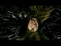 Download Lagu In Flames - The Quiet Place (Official Music Video)