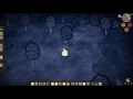 Don t Starve How To Get Glommer s Flower