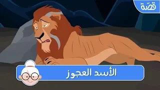الأسد العجوز   قصص اطفال قبل النوم   حكايات اطفال بالعربية دندنها