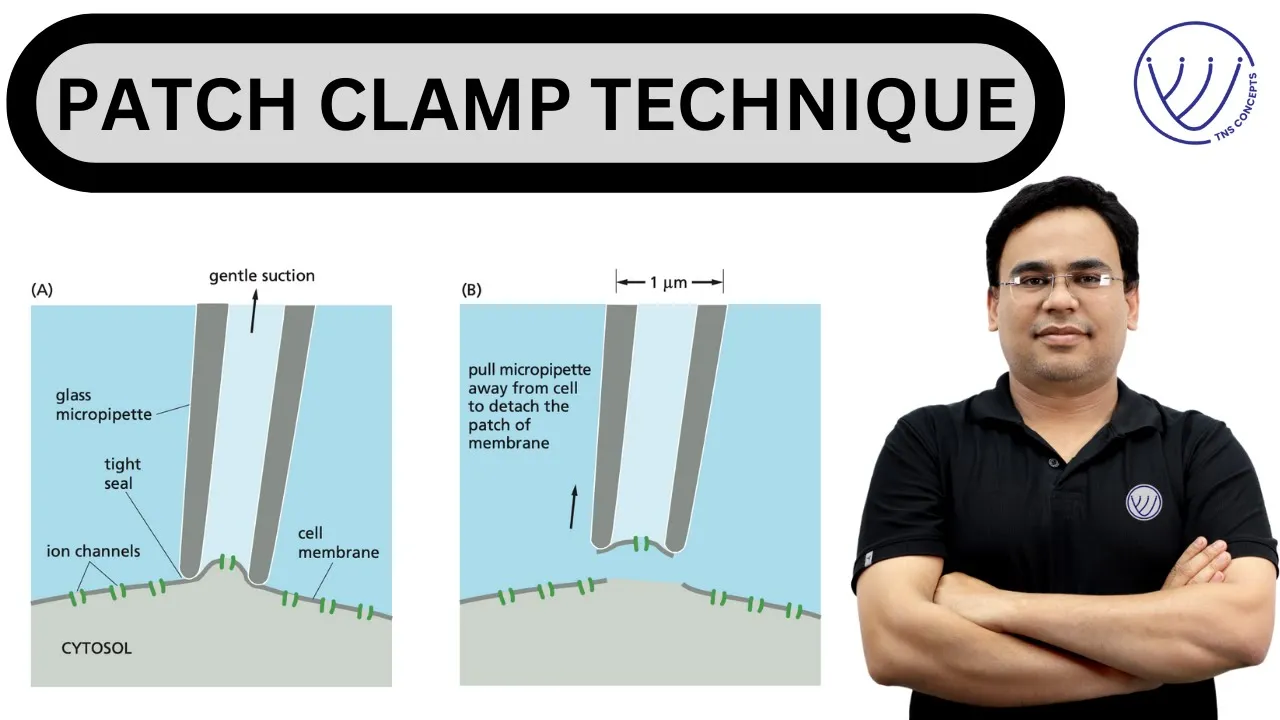 PATCH CLAMP TECHNIQUE | CELL BIOLOGY FOR CSIR NET | NILESH SONI