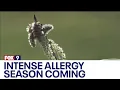 Warmer weather signals start to allergy season I KMSP FOX 9
