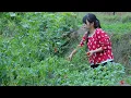 Lagu 【二米炊烟】Chili Pepper 一場與時間的約定，記錄辣椒的1000萬種滋味