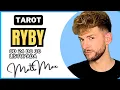 Lagu ♓️ Ryby jedna rozmowa otwiera wielkie drzwi! tarot tygodniowy od 24 do 30 listopada