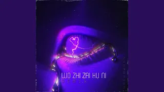 Download Wo Zhi Zai Hu Ni (Remix) MP3