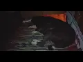 life with dog. dog tries to avoid sharing bed. dog sleeping ?? dog asleep. dog hijack my bed, pillow