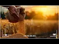 Kenny Rogers, Willie Nelson, William, Alan Jackson, George StraitDon 🌵 Best Old Country Songs 2025