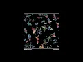 Slow Pulp - Montana