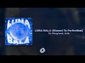 Download Lagu Ariis, Yb Wasg'ood - LUNA BALA (Slowed To Perfection)