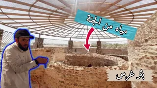 شربنا من بئر غرس النبوية في المدينة المنورة بعد إعادة تطويرها    دندنها