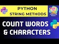 Text Analyzer Program in Python Count Words Characters