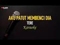 Download Lagu Tere - Aku Patut Membenci Dia (Karaoke)