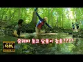 4k- woodland valley campground