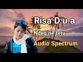 Download Lagu Lagu sasak Risa D.u.a Ndeq ne tetu Audio spectrum