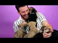 Download Lagu Chris Evans: The Puppy Interview