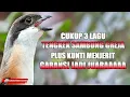 Download Lagu MASTERAN CENDET PALING LARIS CUKUP 3 MATERI GARANSI jadi JUARAAA