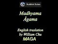 Download Lagu m_MAGA_030_Parable of the Elephant’s Footprint, Madhyama Agama,  William Chu (Nov 2024)