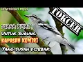 Download Lagu SUARA UNTUK PIKAT - burung kapasan kemiri yang susah turun TOKCER