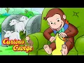 Download Lagu George Saves the Sheep! 🐵 Full Episodes | Curious George