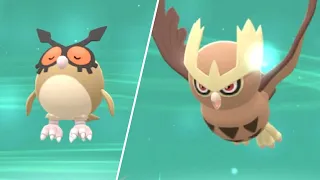 HOW TO Evolve Hoothoot into Noctowl in Pokemon Brilliant Diamond and Shining Pearl