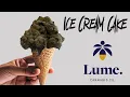 Ice Cream Cake by Lume Flower Review