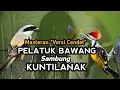 Download Lagu PELATUK BAWANG SAMBUNG TENGKEKBUTO \u0026 KUNTI |MASTERAN CENDET JUARA TERBARU 2022