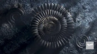 تقويم سبب تسمية شهر جمادى الأول الهجري بهذا الاسم 