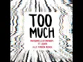Too Much (Alle Farben Remix) (feat. Imanbek & Usher) - Marshmello