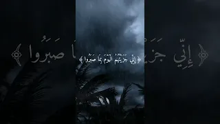 اني جزيتهم اليوم بما صبروا   اسلام صبحي دندنها