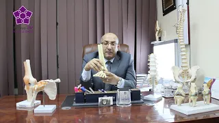 دكتور حازم شقير يتحدث عن مفصل الكاحل دندنها