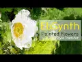 Ebsynth AI Style transfer animations from a single Photoshop image