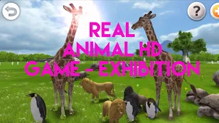 Learn Animals Real Animal Game HD Safari Animals Exhibition  Learn Animals Real Animal Game HD Safari Animals Exhibition