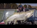 Gigantic Brown Trout - In-Depth Outdoors TV Season 12 Episode 19