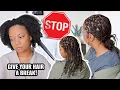 STOP Give Your NATURAL 4B 4C HAIR A BREAK LENGTH RETENTION MINI BRAIDS TWIST